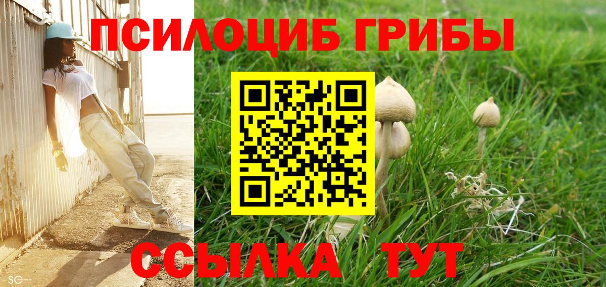 Протвино  Галлюциногенные грибы ЛСД  Вход с VPN 